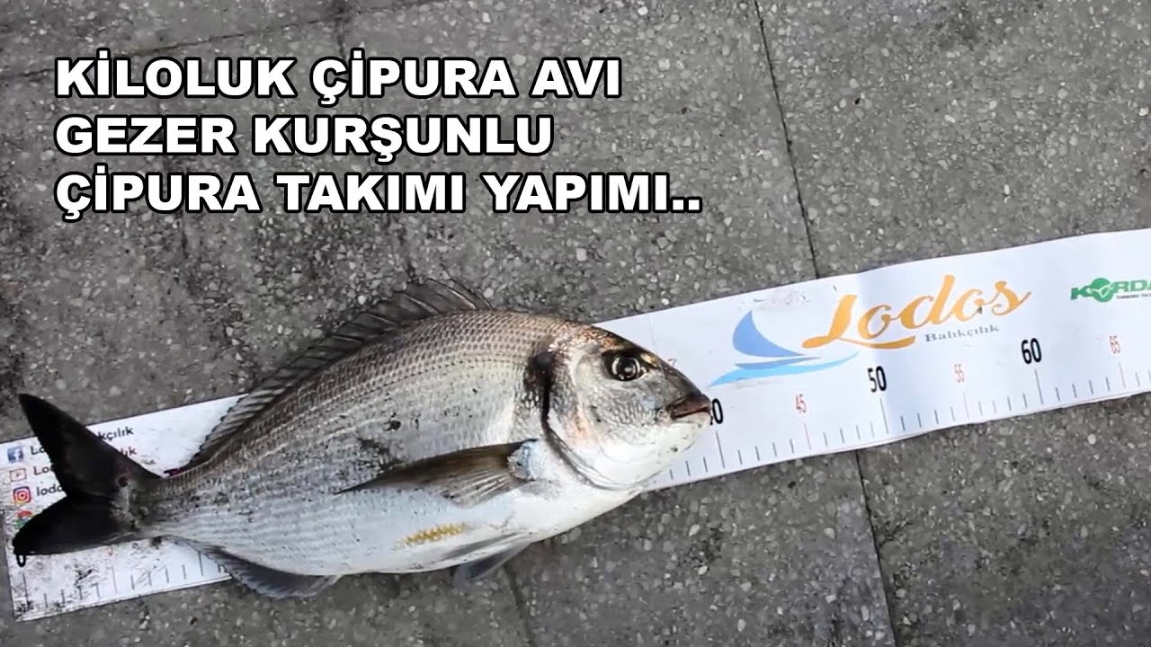 İzmir Çipura Avı.. Gezer kurşunlu çipura takımı yapımı bu videoda..