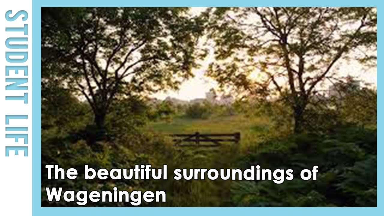 The beautiful surroundings of Wageningen! – WURtube