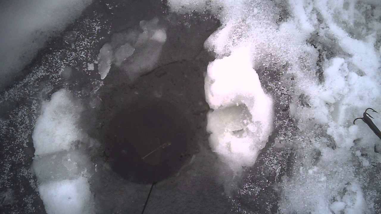 Hauki 1,3Kg iskukoukulla