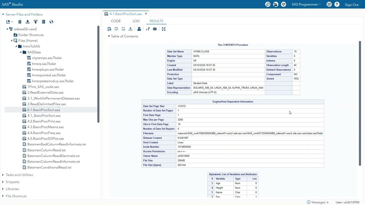 SAS Proc Sort