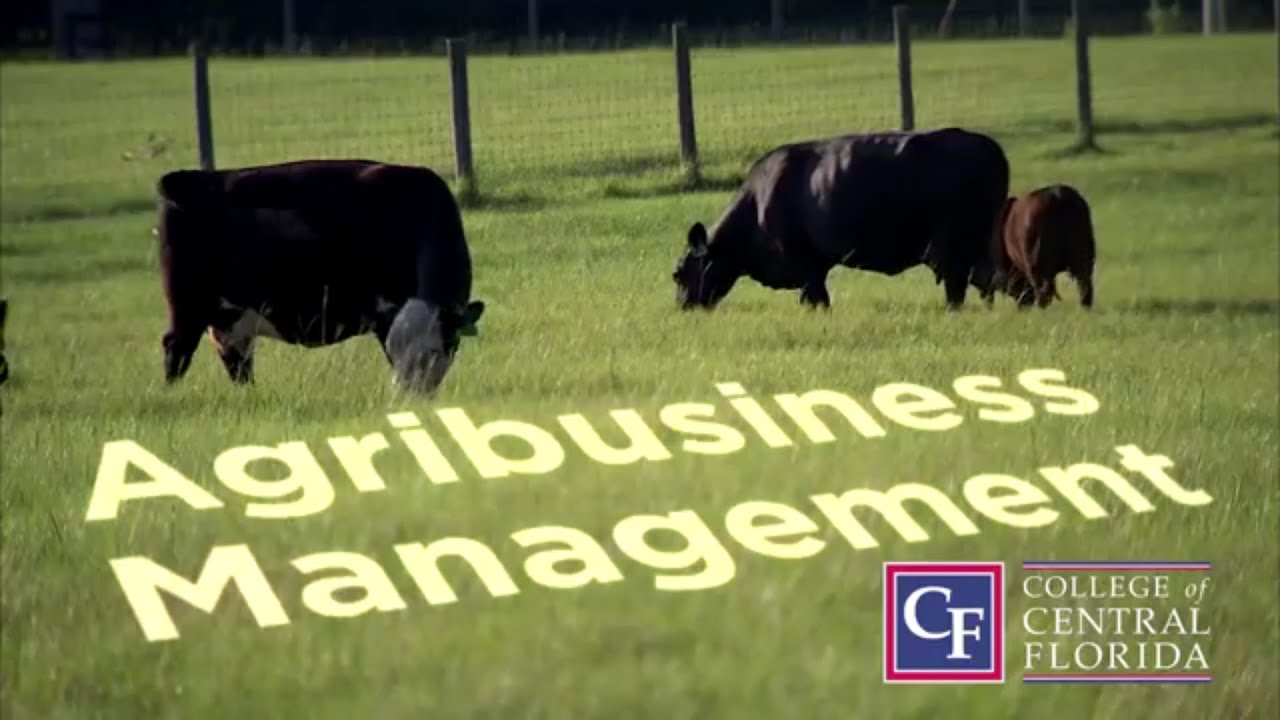 Agribusiness Management at CF