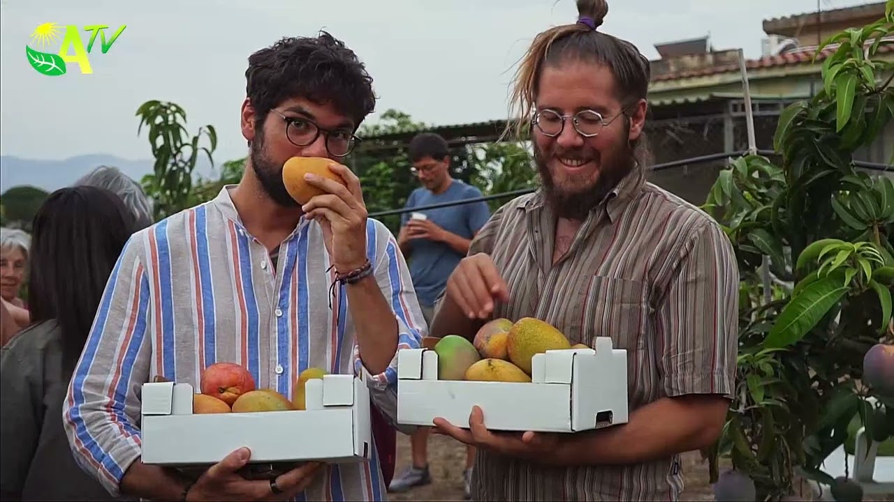 AgrisiciliaTV - Puntata 7 dedicata alla frutta tropicale made in Sicily