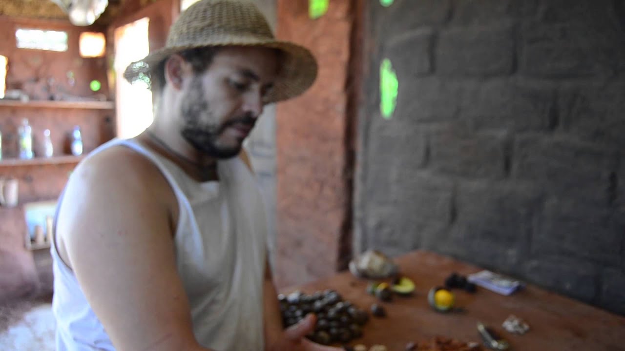 Bomba de Sementes