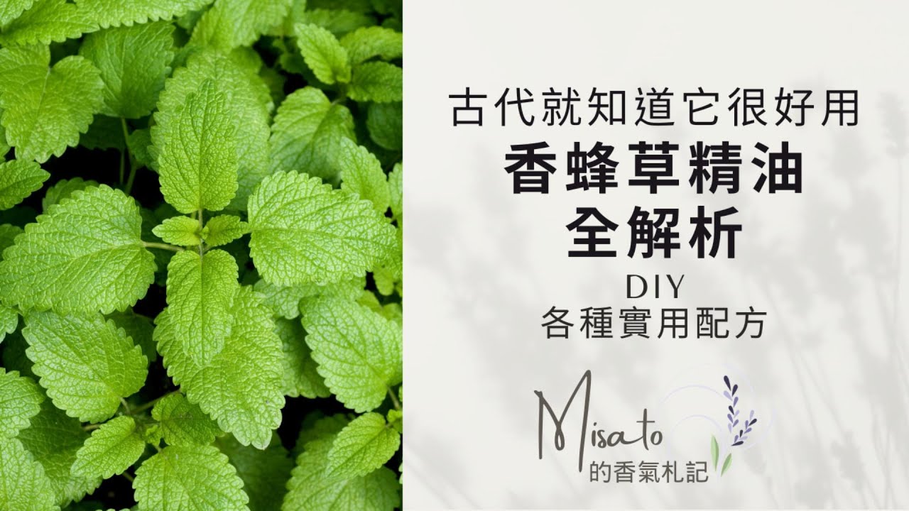香蜂草精油九大功效全解析～從古代到現代都被認證的高效藥草就是它！