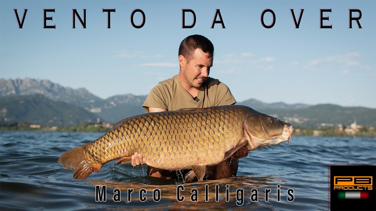 VENTO DA OVER | CARPFISHING AL LAGO DI PUSIANO | MARCO CALLIGARIS