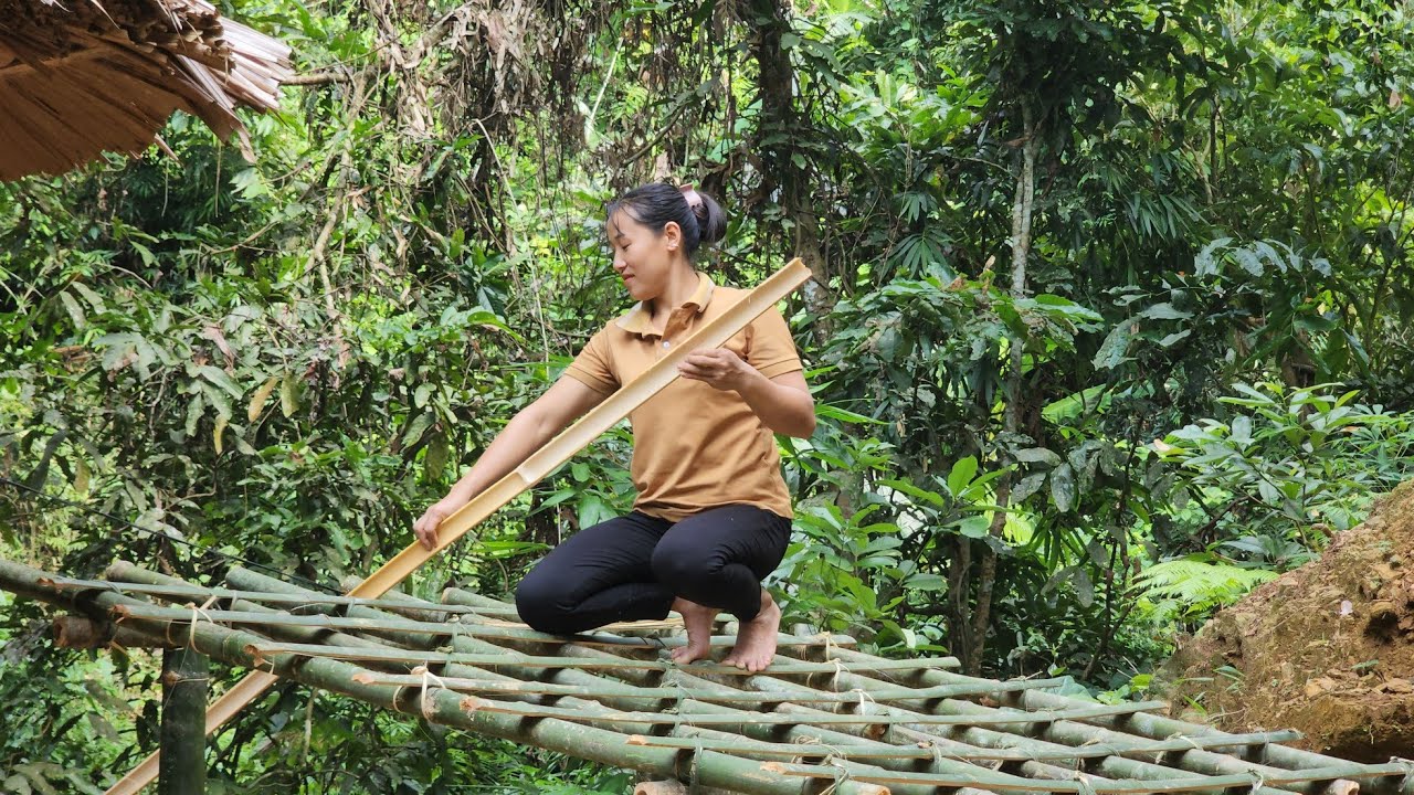Harvest lemons and build a firewood shed | Lý Thị Viện
