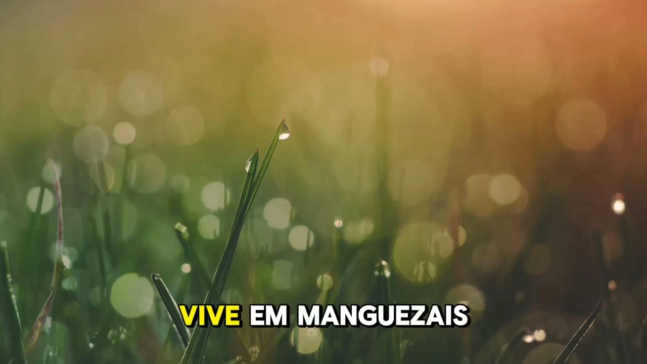 🌹em todo tempo seja alvo as suas vestes irmã Heleny. 