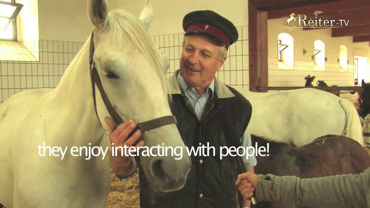 Photoworkshop with Gabriele Boiselle at the Lipizan Stud/Piber (A)