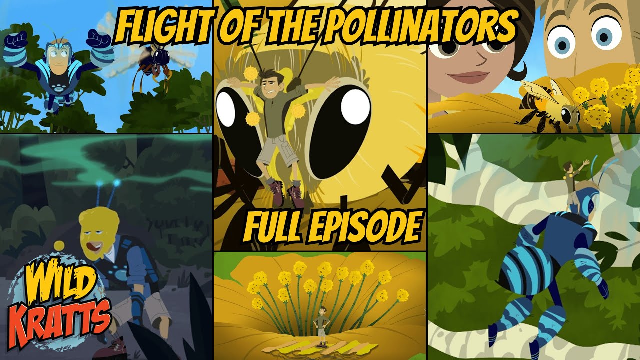 Wild Kratts S01E32 - Flight of the Pollinators; bees, hummingbirds, wasps