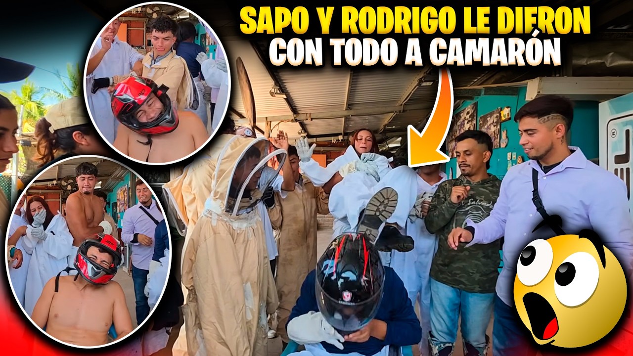 Este juego se esta saliendo de control! Que grandes golpes se dan los Bichos