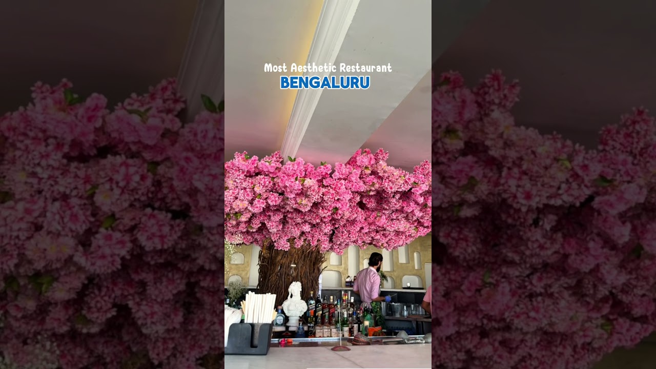 Most Aesthetic Cafe in Bengaluru 💟#bengaluru #cafeinbengaluru #thingstodoinbangalore #restaurant
