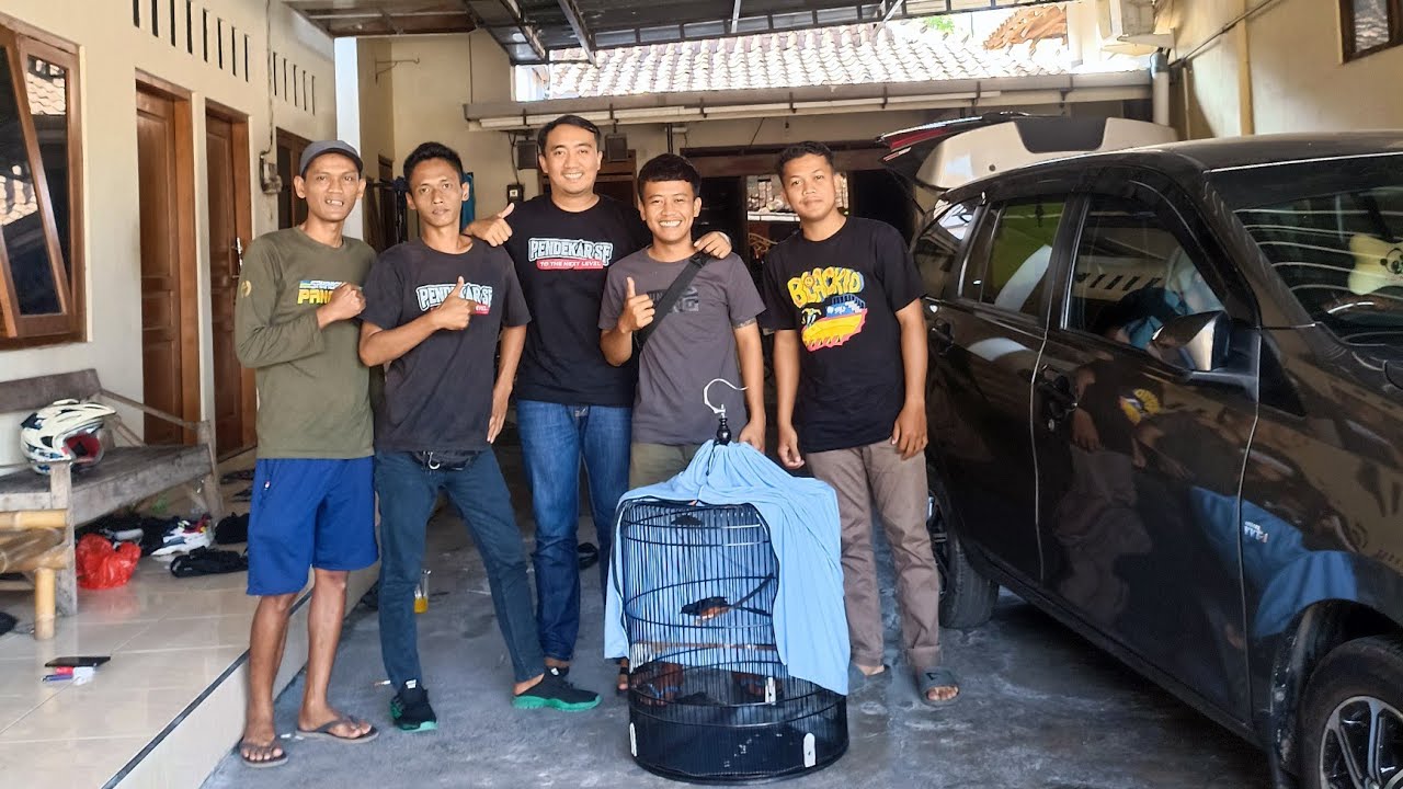 Deal beli burung dari Om Yuli Rampes Solo #Yulirampes #muraibatu #andribolang 