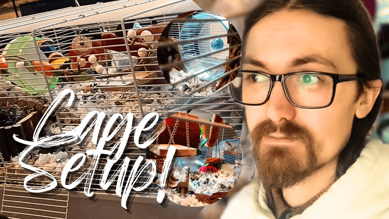 Setting Up My Habitat 3 Pets At Home Cage For My Female Albino Dwarf Hamster! Cage Review & Tour