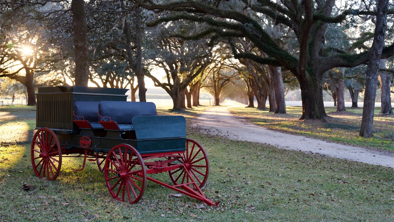 Плантация Вудсайд: Охотничьи угодья для ловли перепелов площадью 967,49 +/- акров в округе Хэмпто...