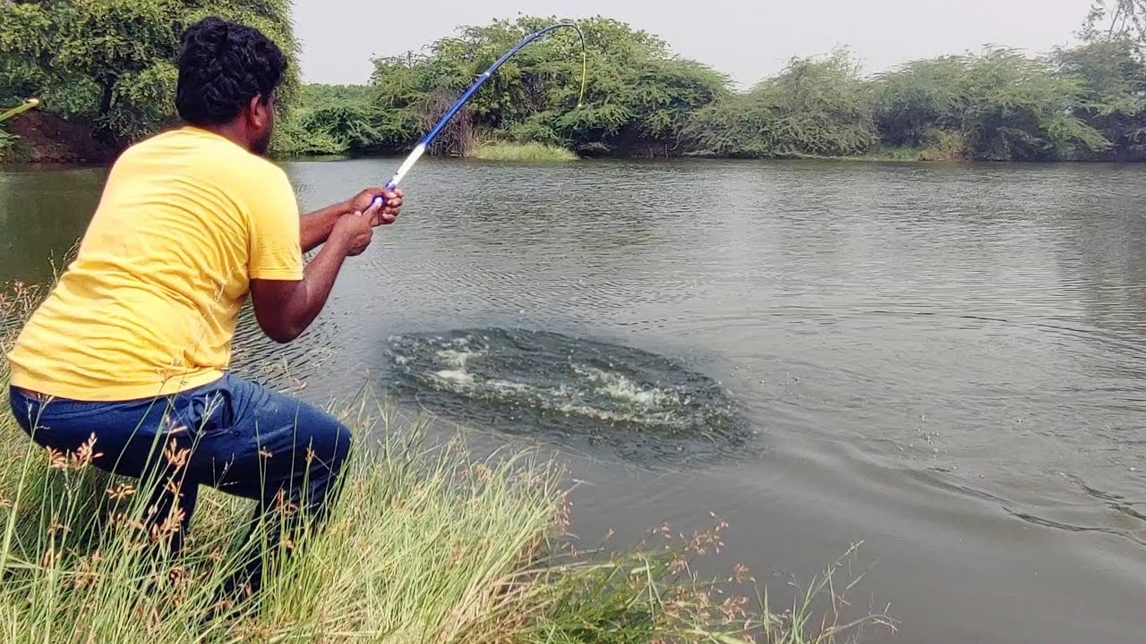 Fishing Video | Big silver PIRANHA | PROFISSIONAL fisher catching Piranas in lake | Villagefishing