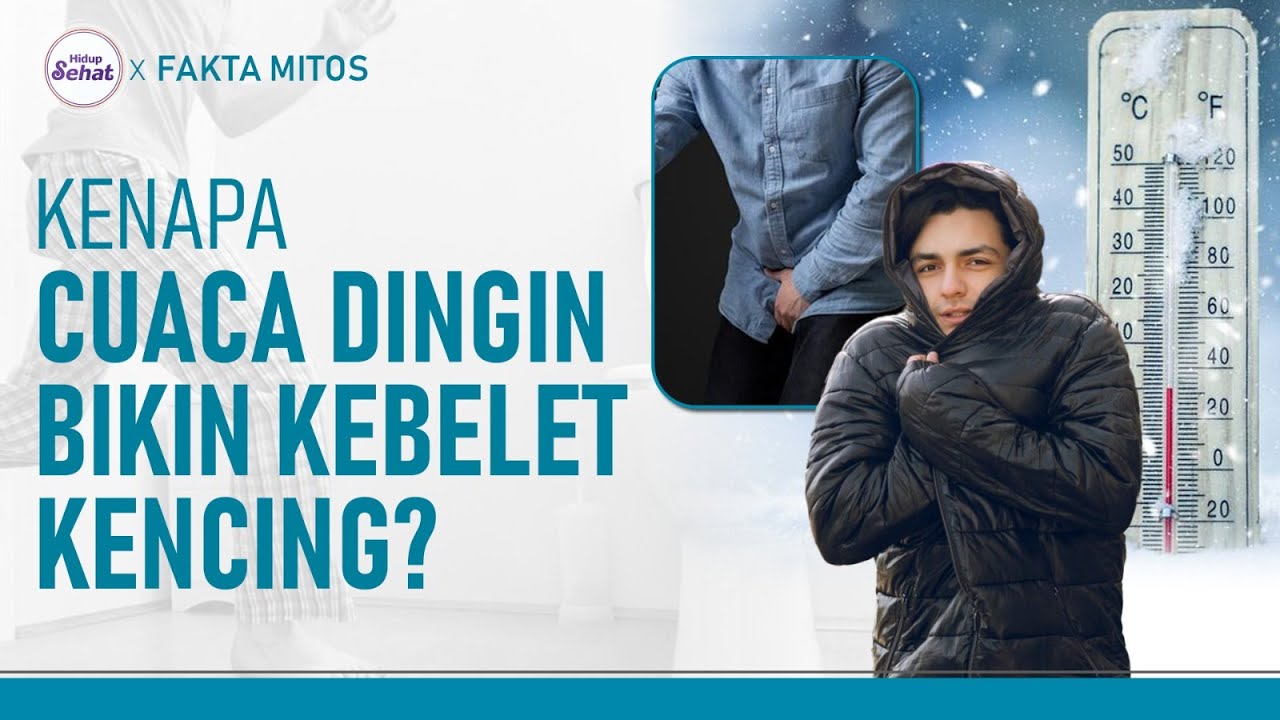 Ini Kenapa Kita Sering Buang Air Kecil saat Udara Dingin | Hidup Sehat tvOne