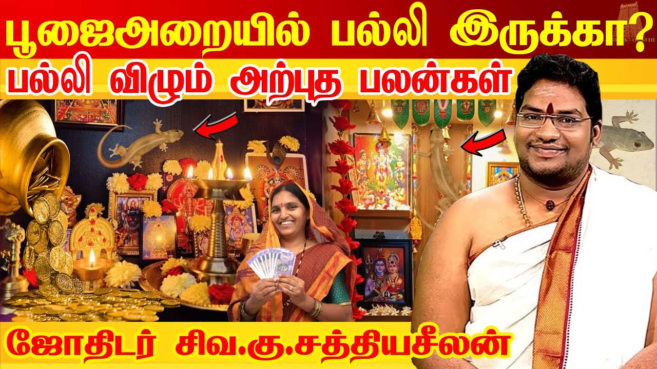 பூஜைஅறையில் பல்லி இருக்கிறதா? நிச்சயம் இது நடக்கும்! பல்லி பலன் Palli Sollum palan Lizard Astrology