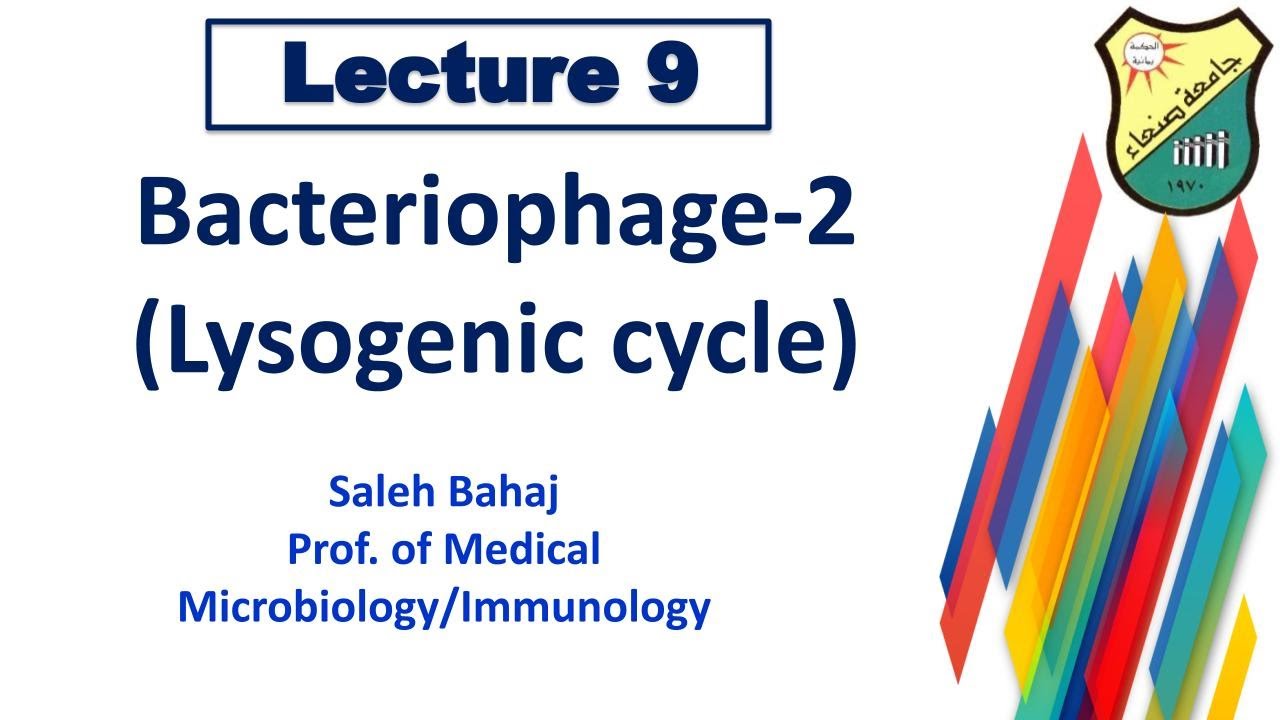 9- Bacteriophage -2 ( Lysogenic cycle)