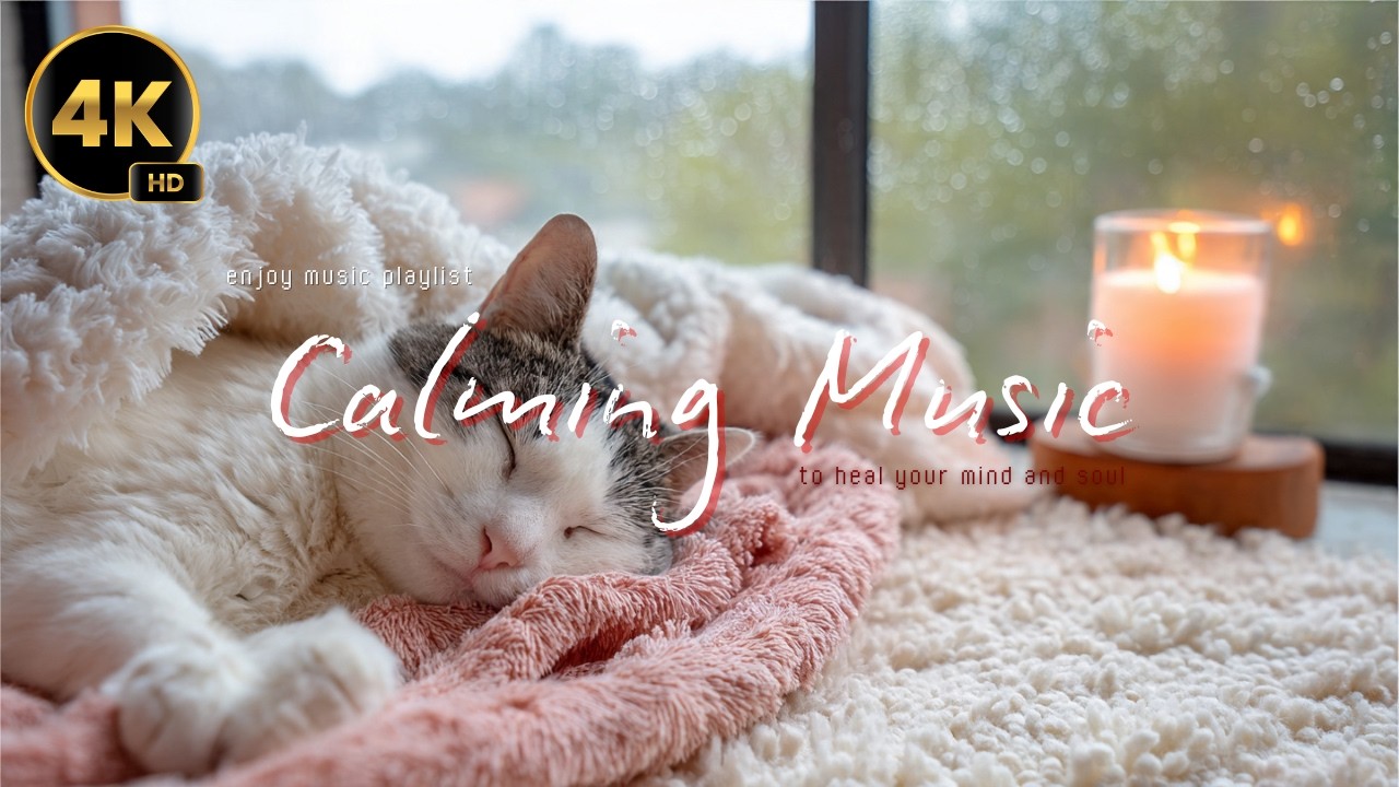 Healing Music for Relaxing 🐈 Sleep Music No Ads 🎵 Deep Sleep With Calming Music ❤️‍🔥  #cats #enjoy