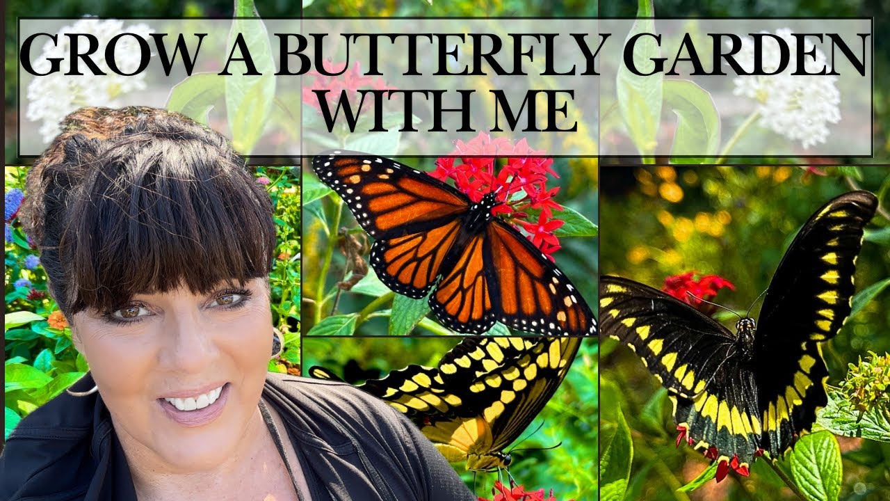 I’m Out Looking for Butterfly Eggs in My Garden (Florida Zone 10a Vlog)