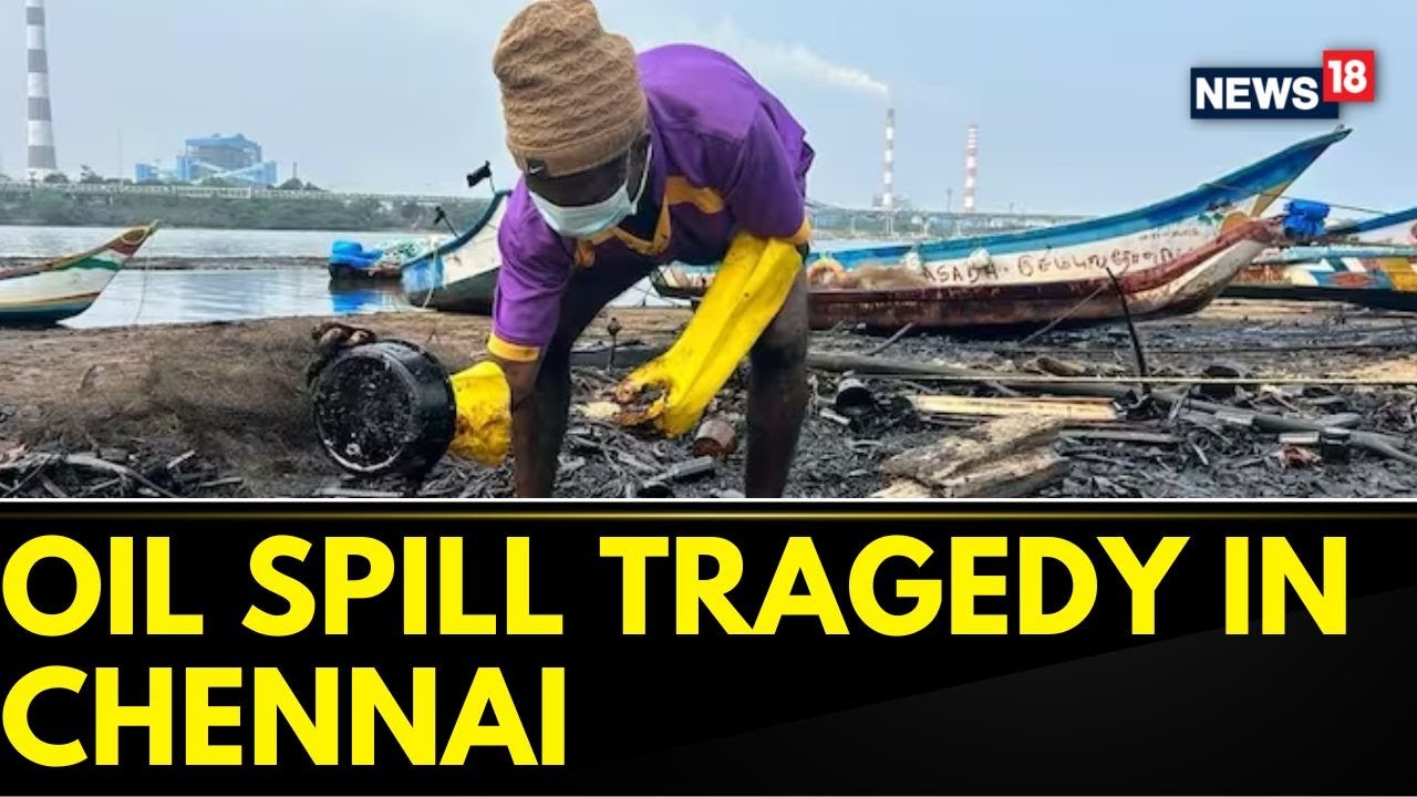 Ennore News Today | Satellite Images Show Oil Spill In Chennai After Cyclone Michaung | News18