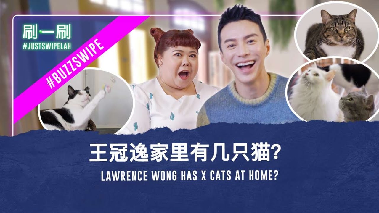 Lawrence Wong has purrfect chemistry with 