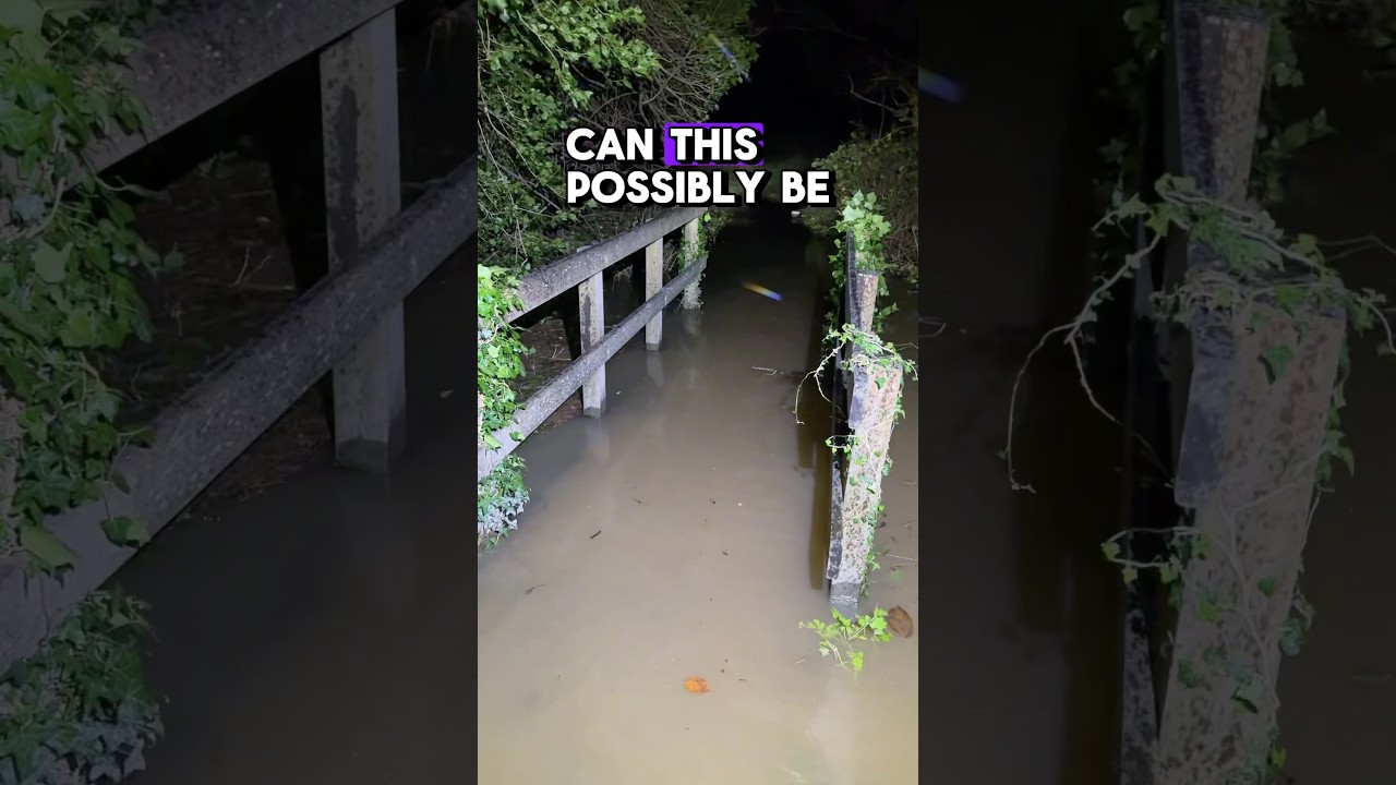 Water under the bridge! And all over ot! #flooding #wales #storm #winter
