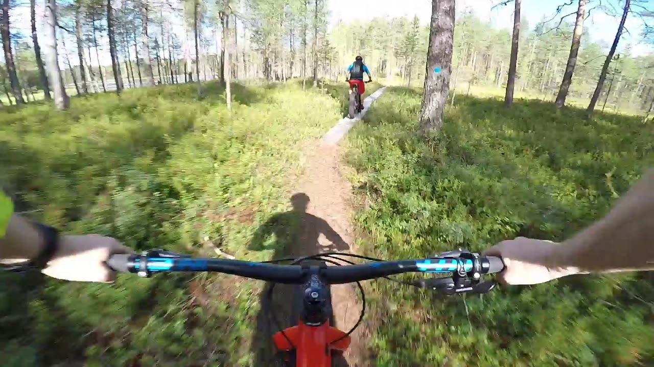 Fatbiking in Hossa nationalpark (sininen saavutus 50km) 12.8.2017