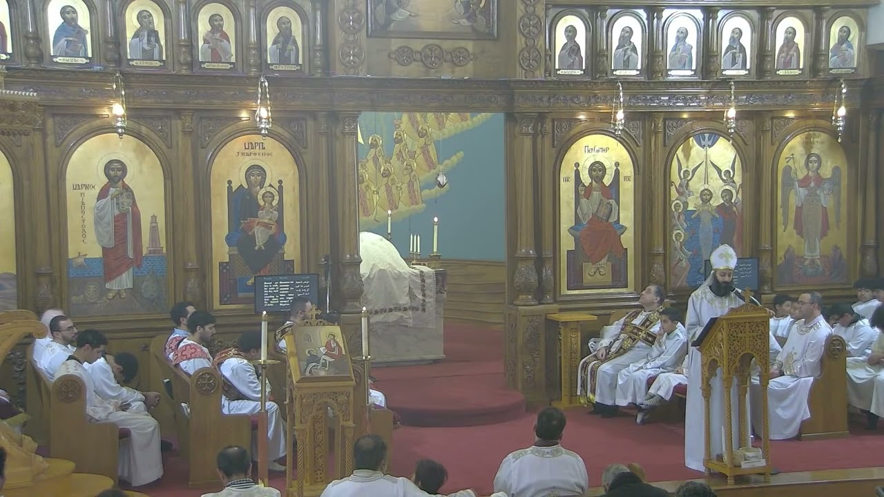 Shadows Revealed (Fr. Jacob Serry)