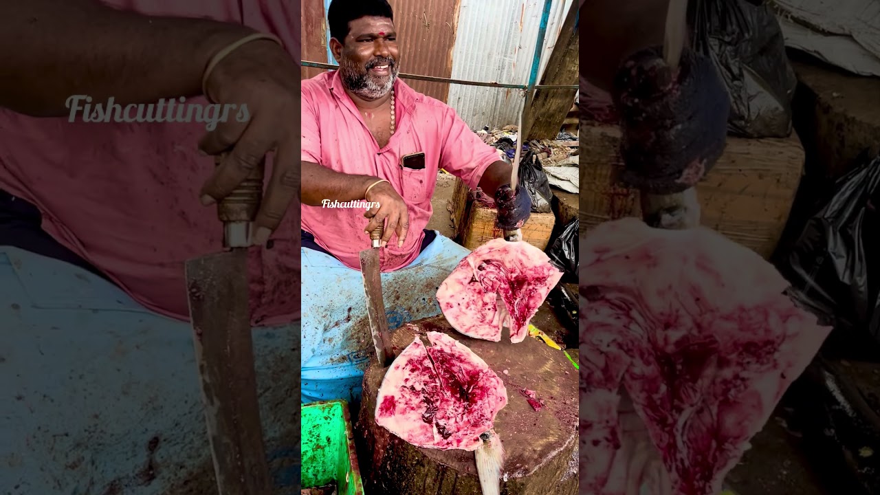Fishcuttingrs #fish #kasimedu #fishcuttingrs