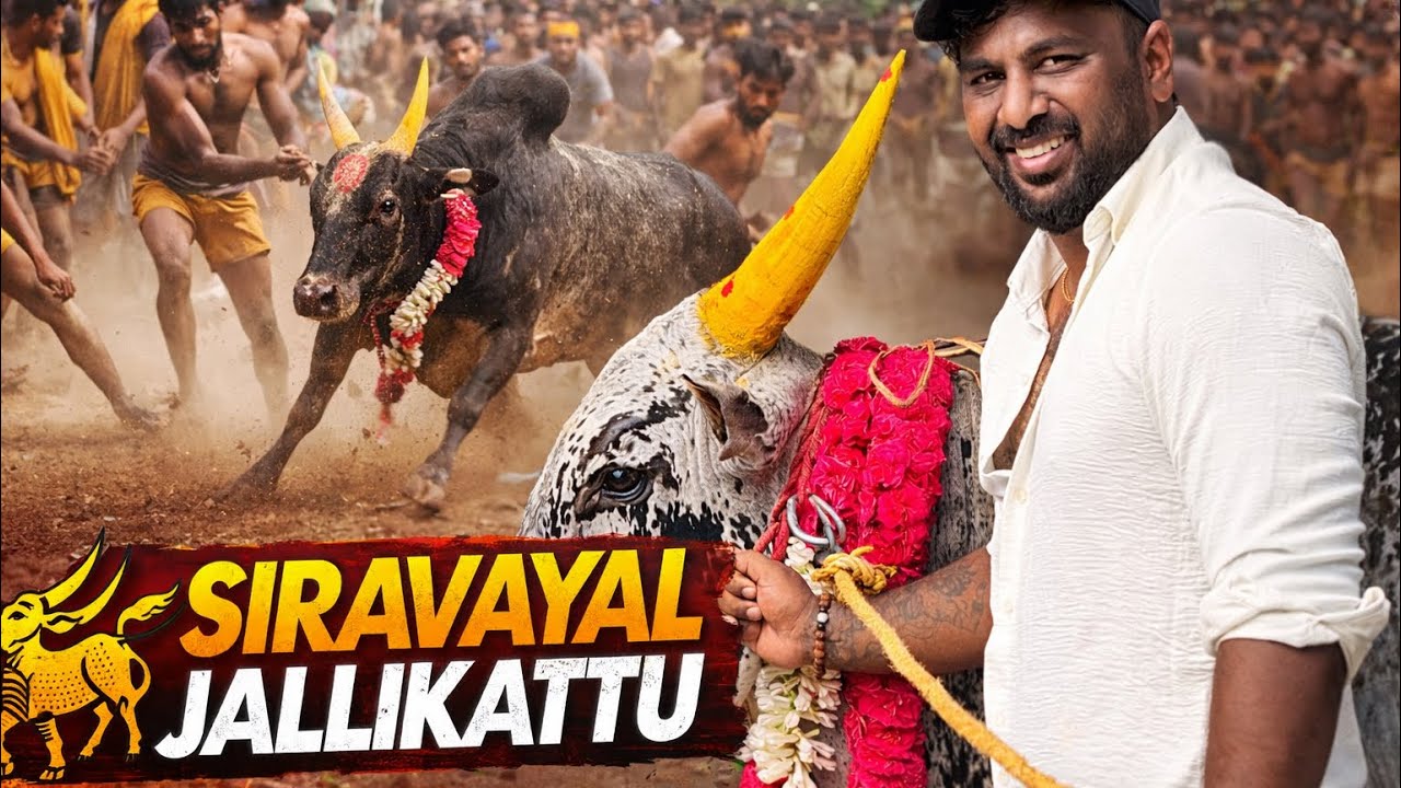 Pongal Celebration In Farm @cherryvlogs