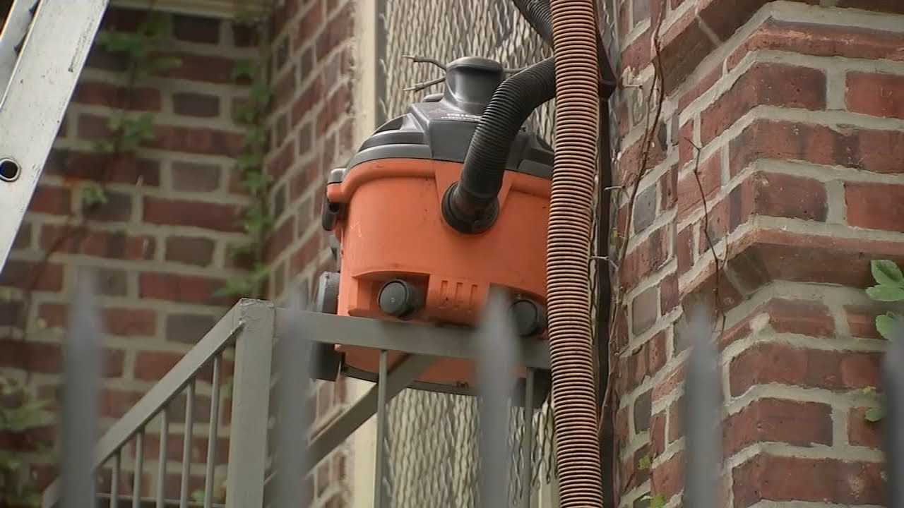 Vacuum containing hundreds of hornets stolen from Philadelphia beekeeper's truck