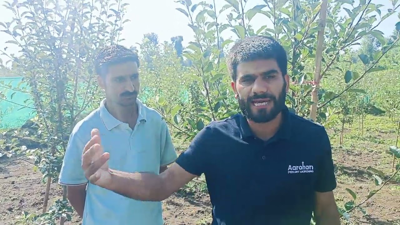Summer Pruning in MM111/ Gala / Important Video Clip