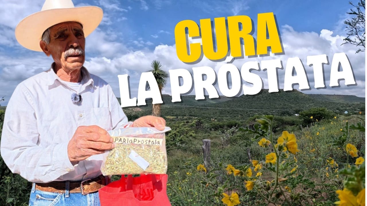 Mis 72 Años de Sabiduría Natural