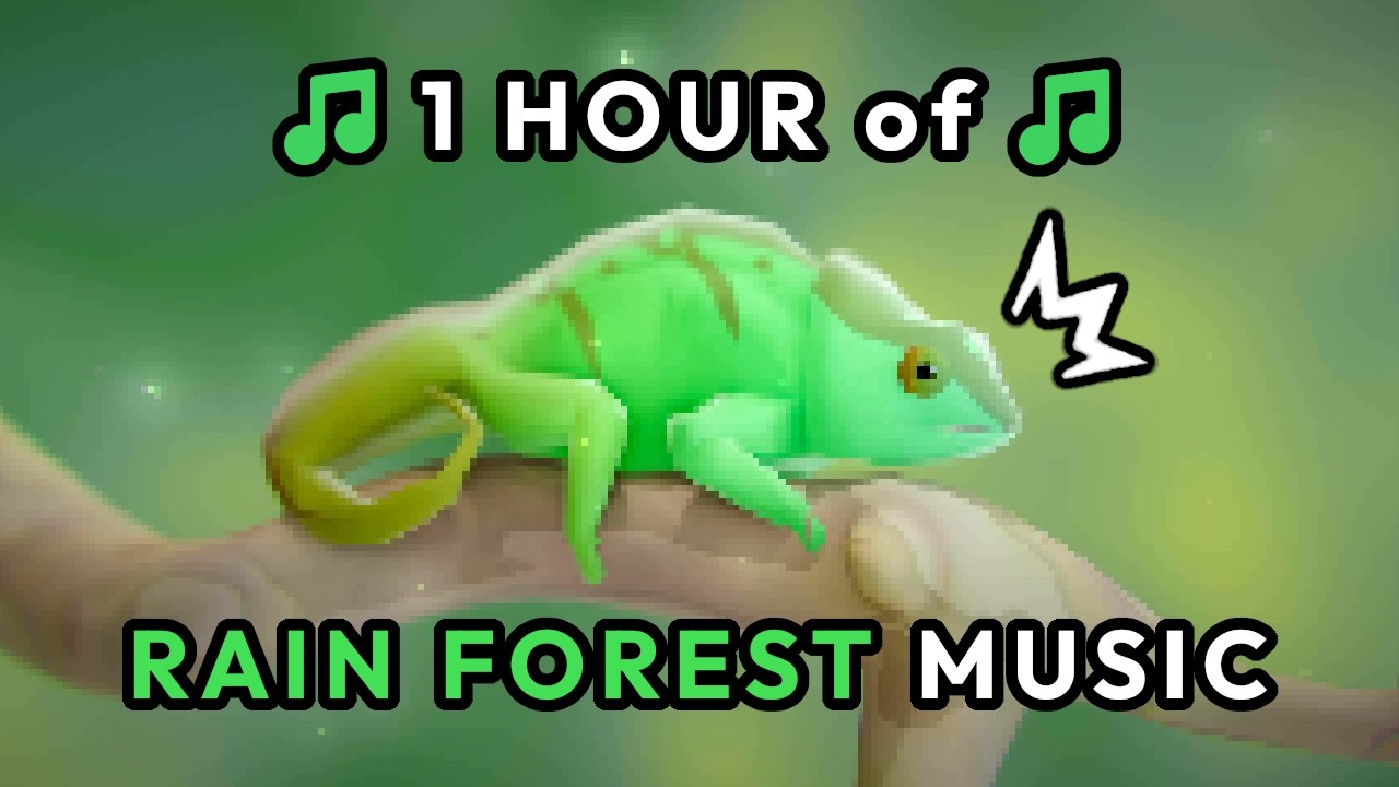 ♫ RAIN FOREST MUSIC [NO AI] | 1 hour of chill tunes for chameleons and other tropical critters ♪