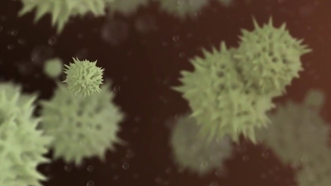 New study shows airborne COVID-19 virus particles can travel up to a mile