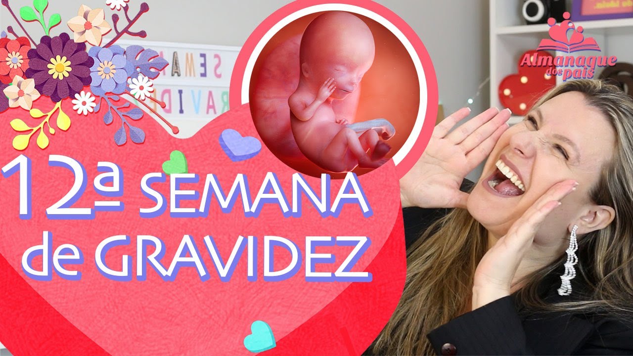 12ª SEMANA DE GESTAÇÃO | Tamanho do Feto, Barriga da Mãe, Sentir o Bebê | 1º TRIMESTRE DE GRAVIDEZ