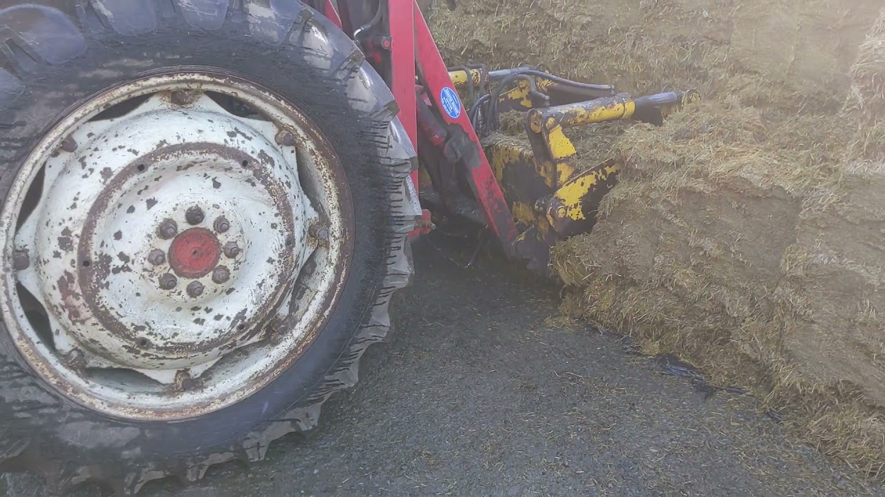 Silage pit cleaning up | Nuffield 4/65 on the shear grab