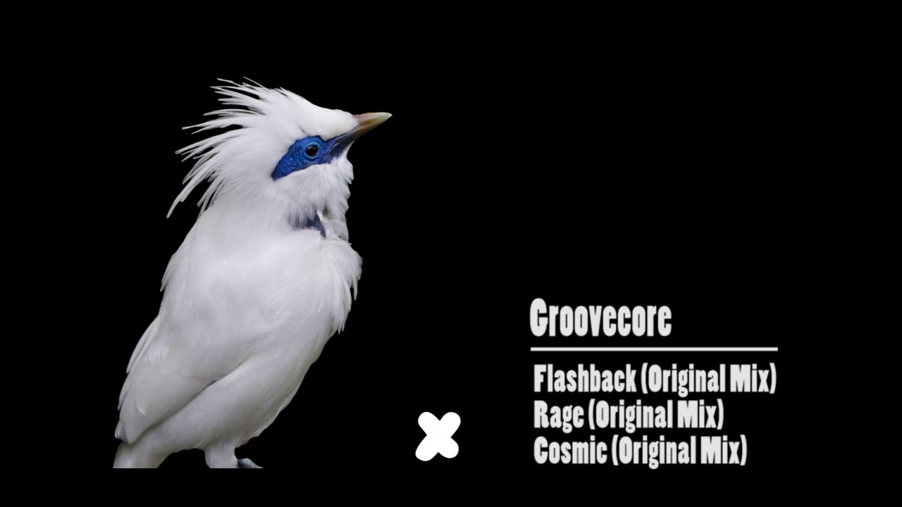 Groovecore - Rage (Original Mix)