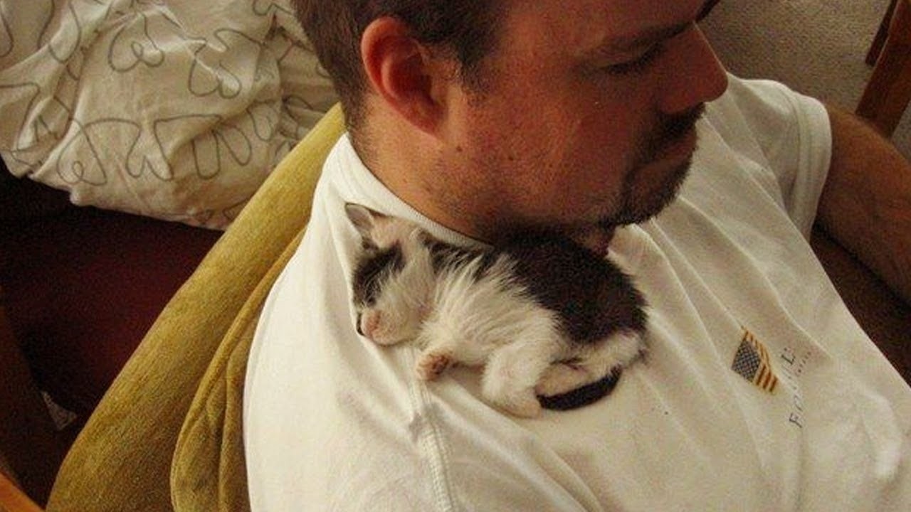 Instant Regret 😹 Hilarious Cat Fails You Must See!