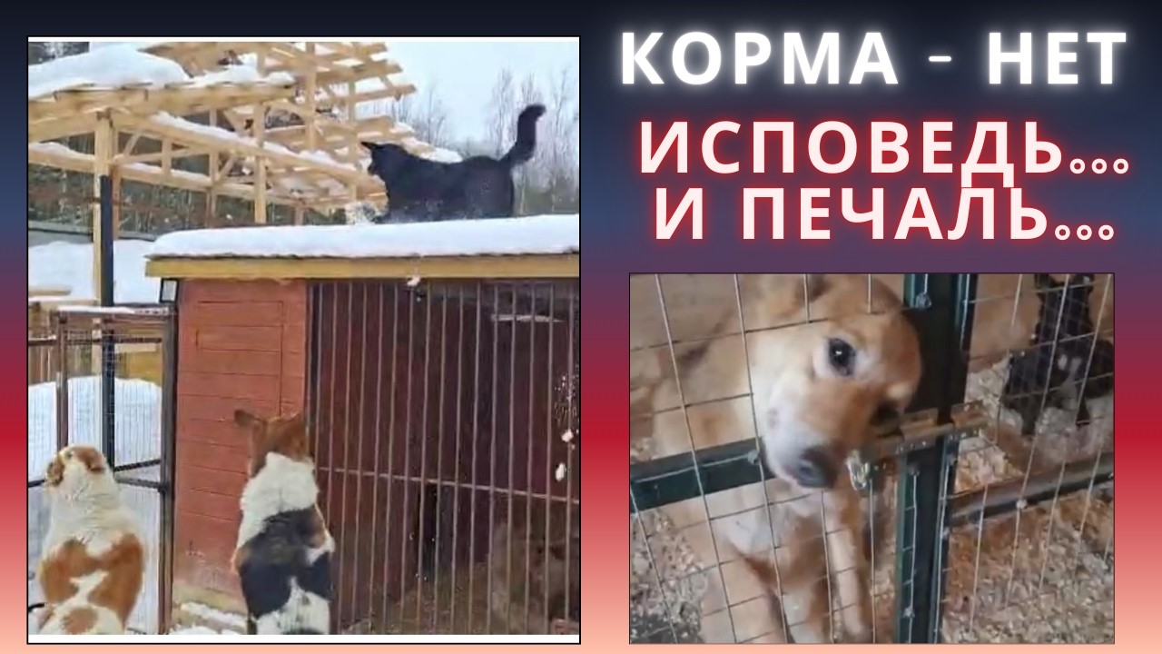 Если нет острых тем и крови, значит живём впроголодь...
