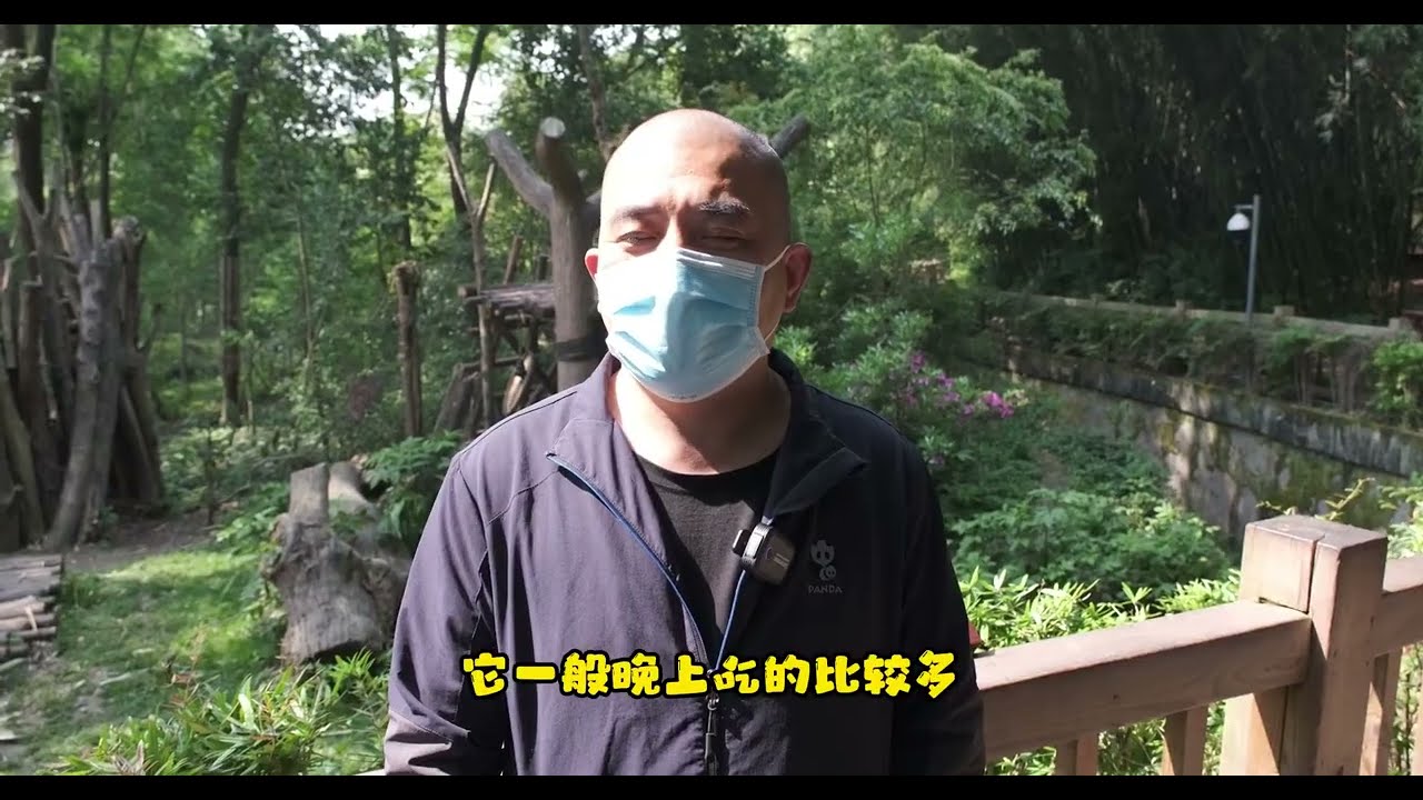 谭爷爷专访解答粉丝比较关心的10个小问题👏Interview Grandpa Tan to answer 10 questions that fans are more concerned about