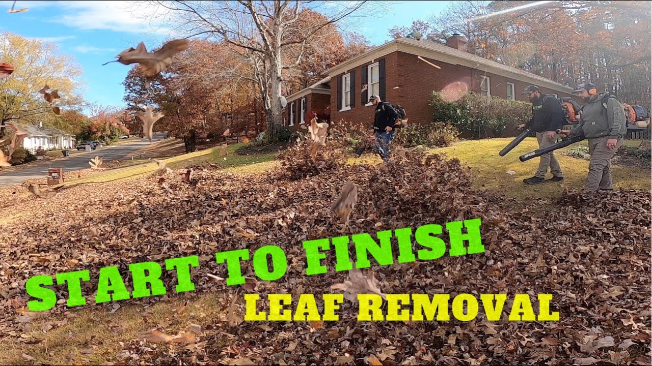 Start to Finish Leaf Clean up  SATISFYING LEAF CLEANUP Billy Goat Leaf Vacuum