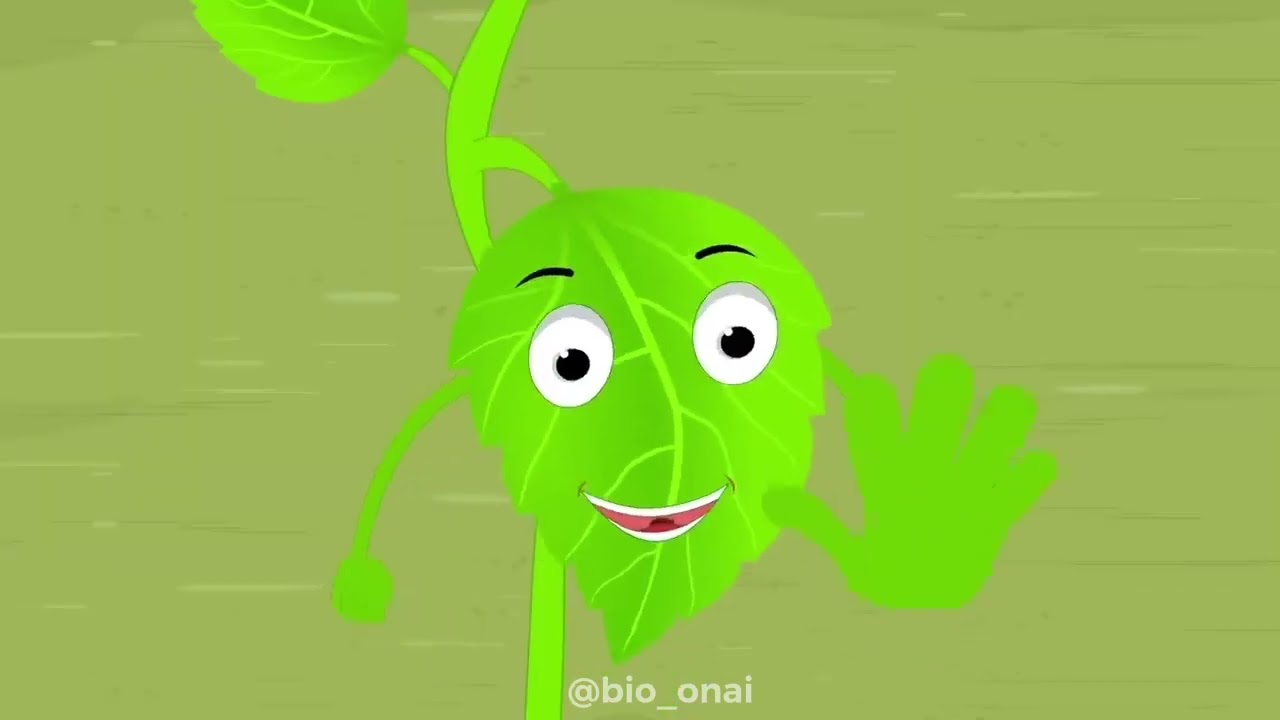 ФОТОСИНТЕЗ деген немене?