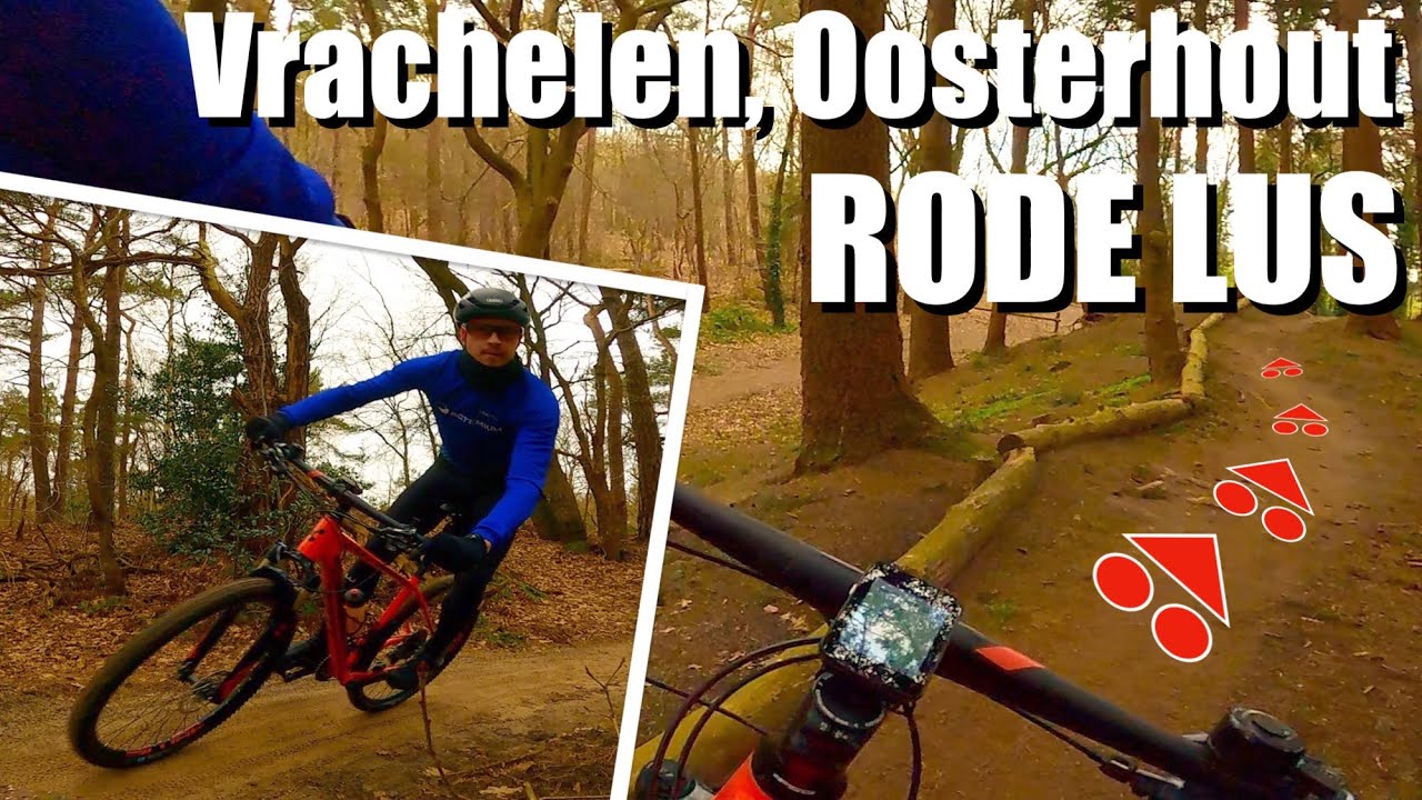 MTB Oosterhout - Vrachelen RODE Lus | NL | (Review 2022)