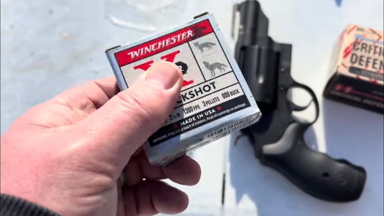 Ultimate Nightstand Snubbie? S&W Governor buckshot patterns at 5 and 10 yards