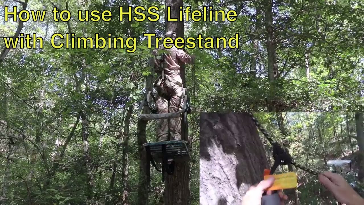 How to use HSS lifeline with a climbing treestand