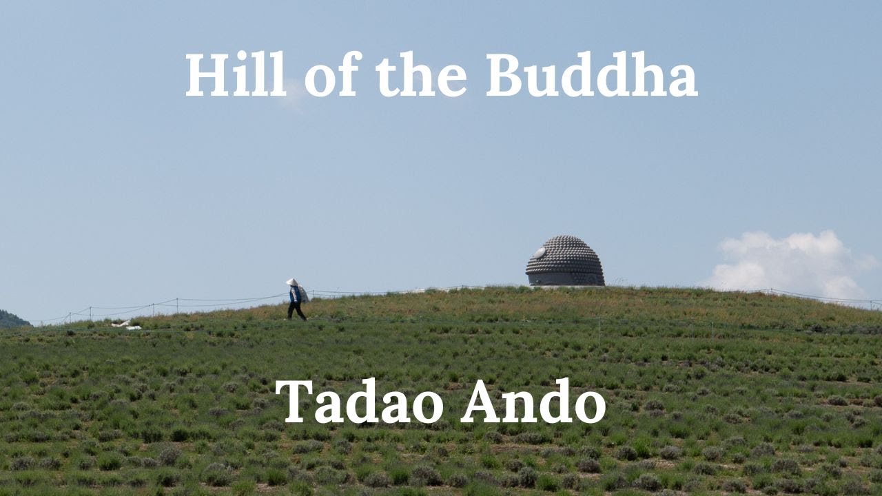 建築207　Hill of the Buddha Designed by Tadao Ando：頭大仏殿　安藤忠雄設計