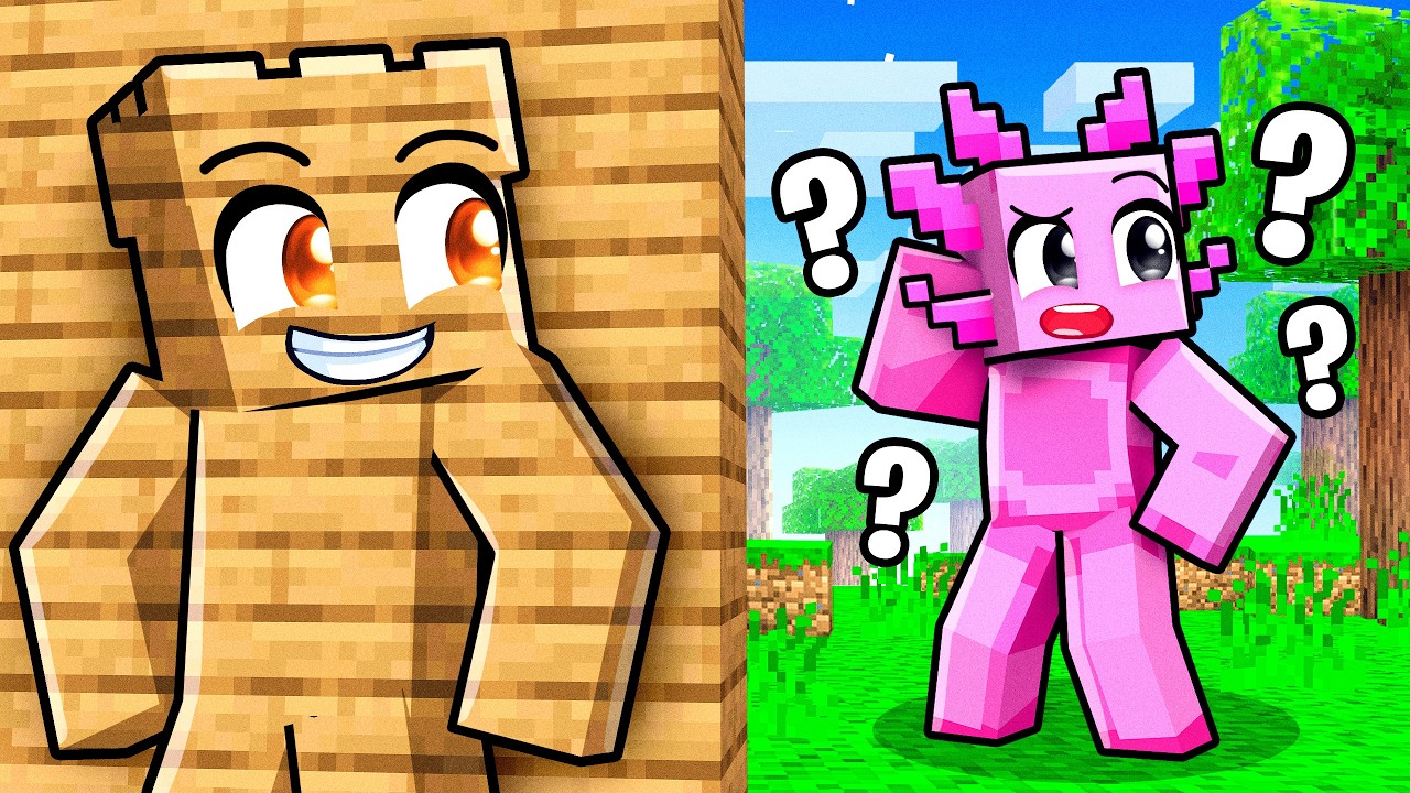 Hide & Seek ONE COLOR CAMOUFLAGE Challenge Minecraft