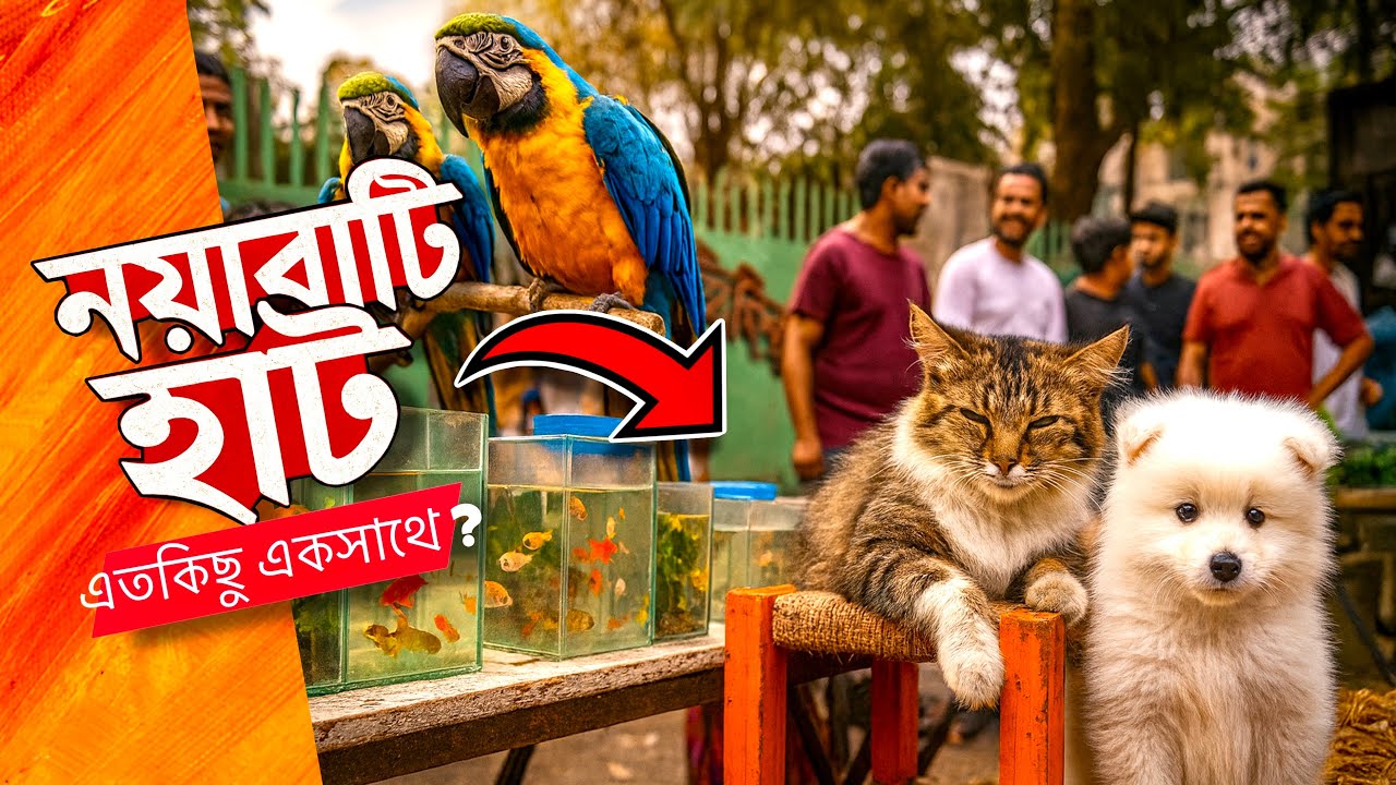 ঐতিহ্যবাহী হাটে বাজেটের মধ্যে কী কী কিনলাম❓|| Inside Aquarium 